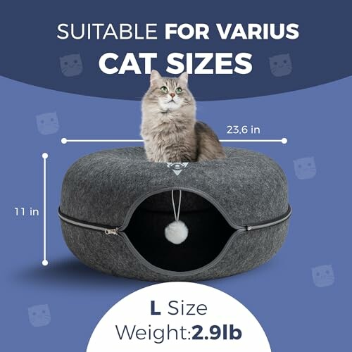 Cat sitting on a gray pet bed with size dimensions.